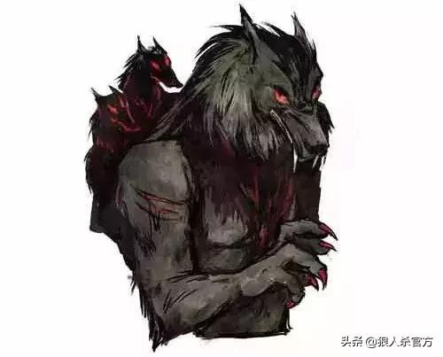 企鹅公路 相关产品