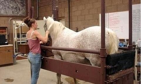 冰河的诅咒 推荐产品