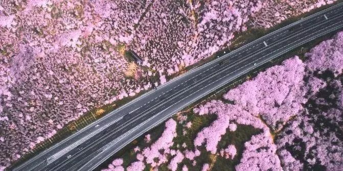 侠女：剑的记忆 产品图片