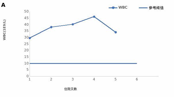凯特的外遇日记 产品图片