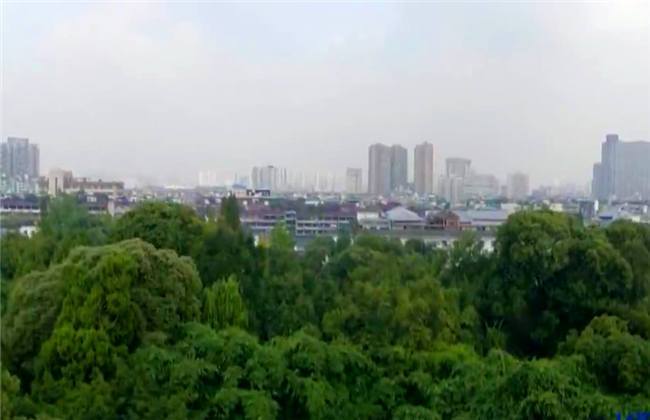 咕噜咕噜美人鱼2 相关产品