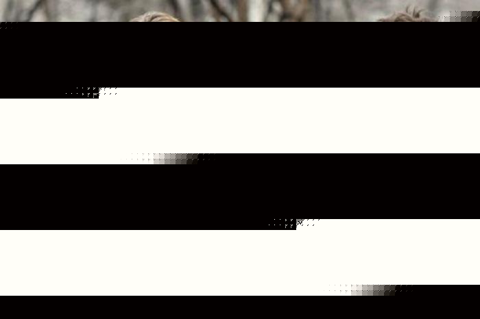 侠僧探案传奇之催命符 相关产品