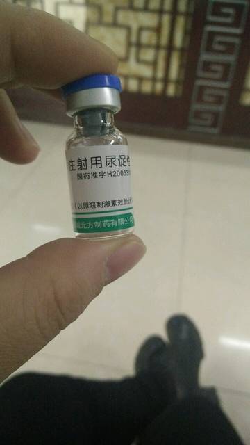 伊莎贝拉（国语版） 推荐产品