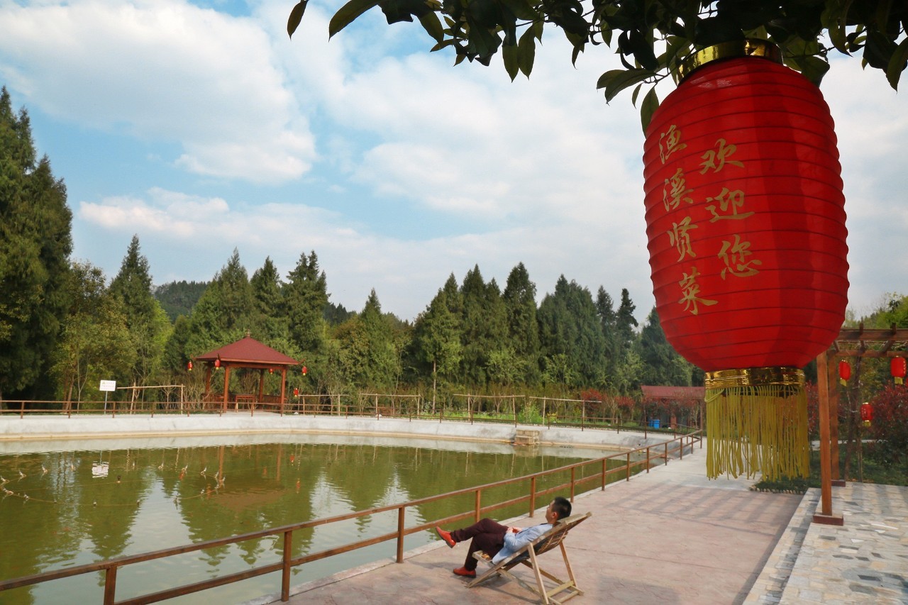 你得来看她 相关产品