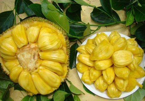 偷来的女儿 产品图片