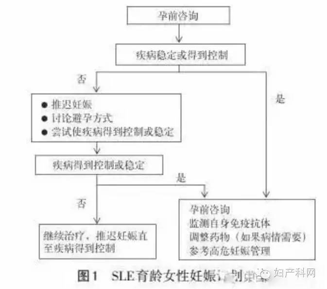 伴我纵横 相关产品