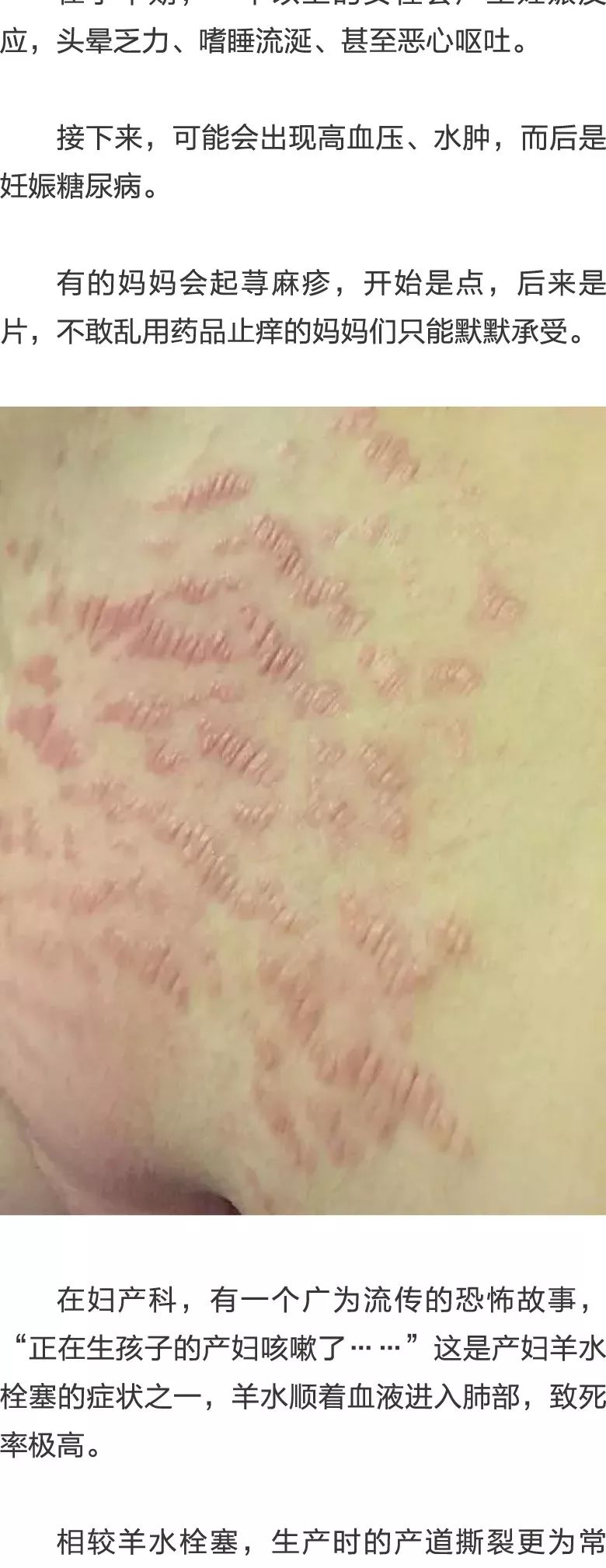 会计刺客（普通话版） 产品主图