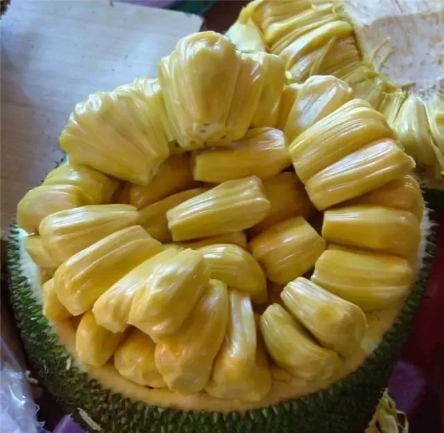 冲破黎明前的黑暗 产品主图