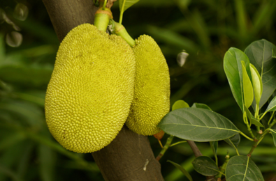 你从未在此 产品图片