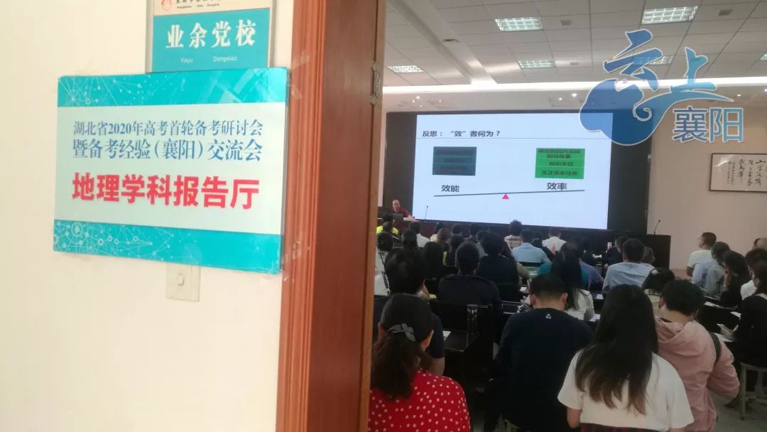 假日总动员 产品图片