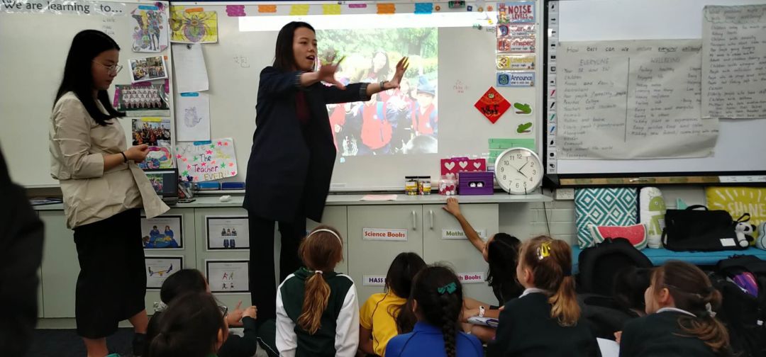 僵尸小姐 相关产品