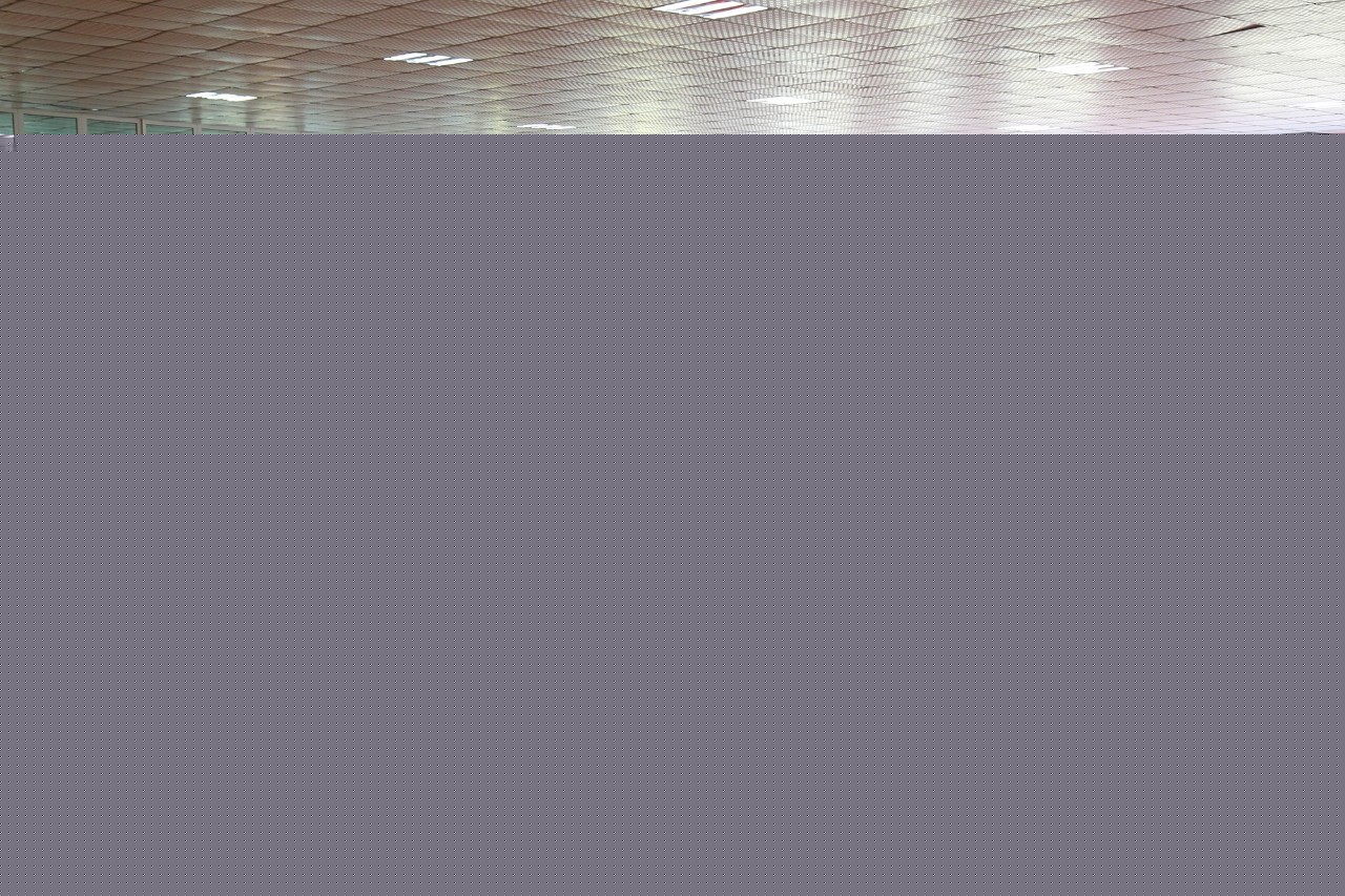 伊丽莎白 产品图片