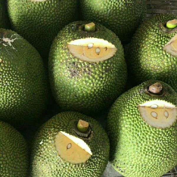 地球淹没之惊涛大历险（国语版）下 产品图片