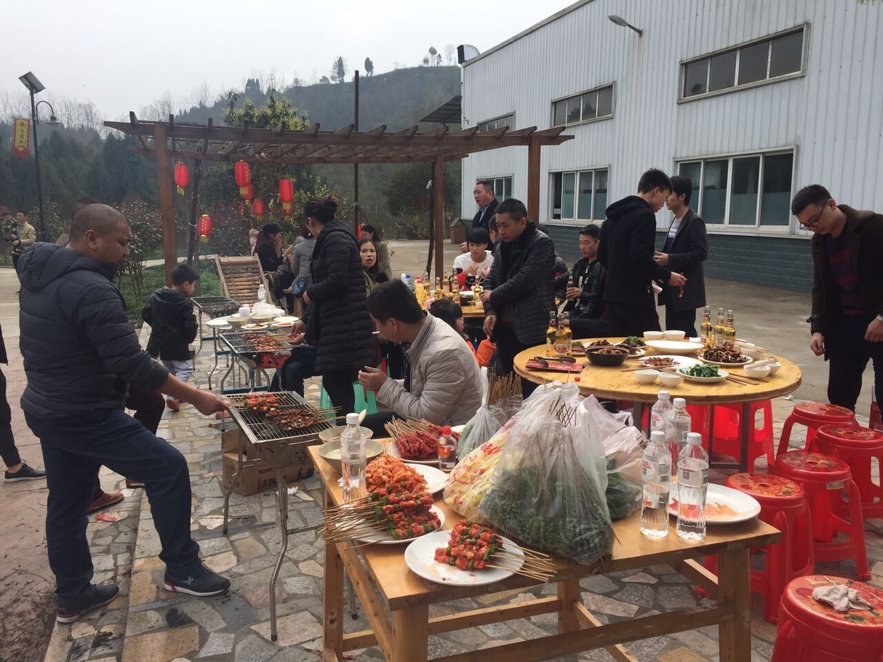 代码危机 产品图片