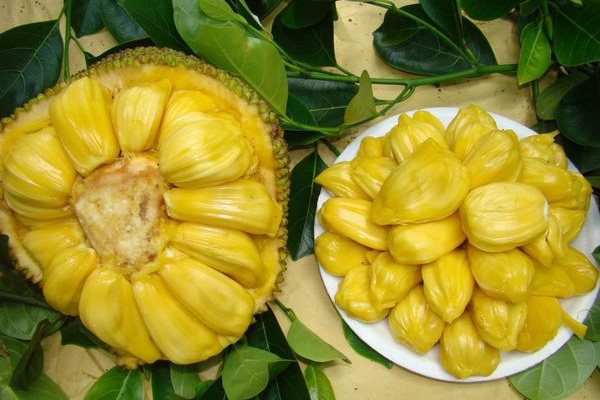 仙厨奇缘 相关产品