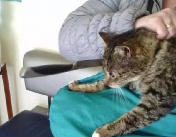 兄弟大作战之我的女友叫静香 相关产品