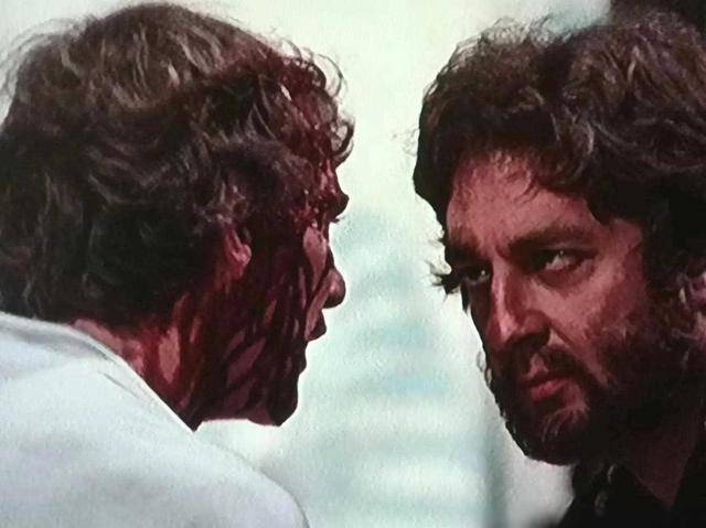 圣诞树 相关产品