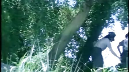 决胜21点 21 产品图片