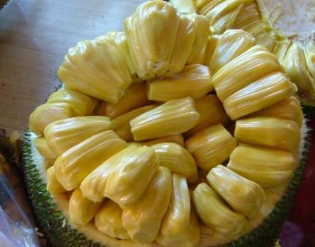 假面病房 相关产品