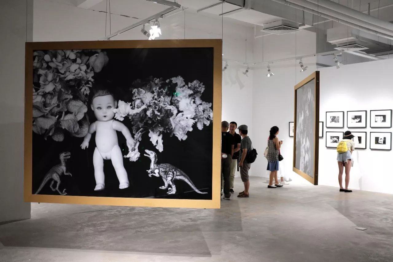 假日总动员 产品图片