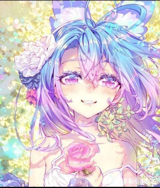 万物生灵：2025圣诞特别集