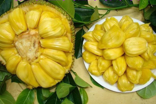 信号100 相关产品