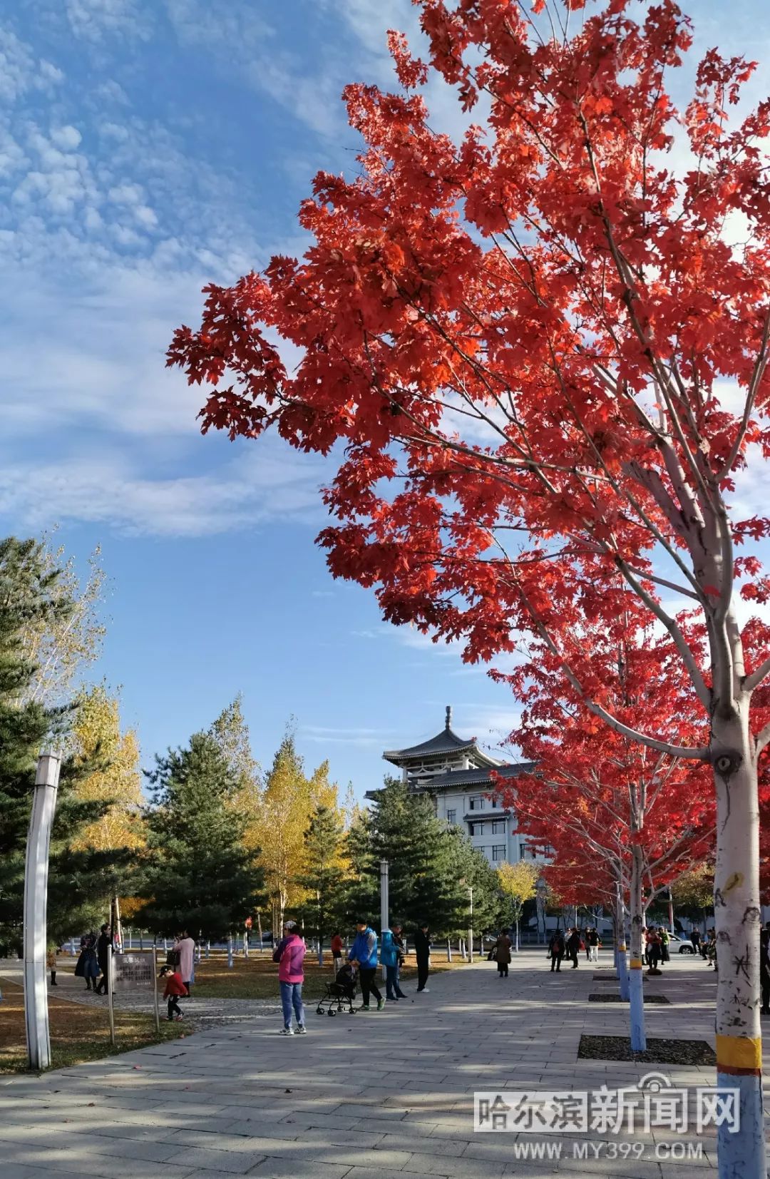 你好，再见 产品图片