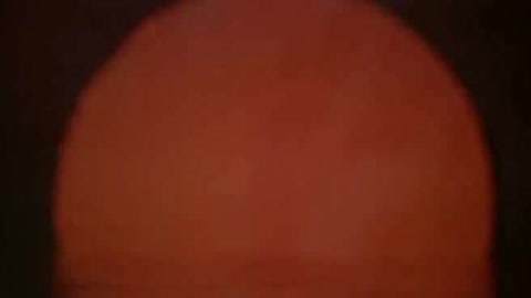 南拳北腿活阎王 产品图片