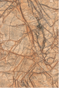 侠盗之歌 产品主图