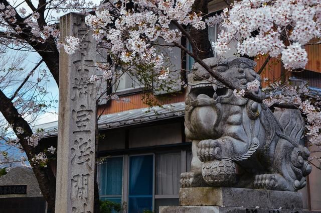 决战千王 相关产品