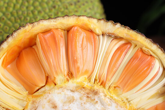 俄狄浦斯市长 产品图片