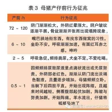 人在纽约 产品主图