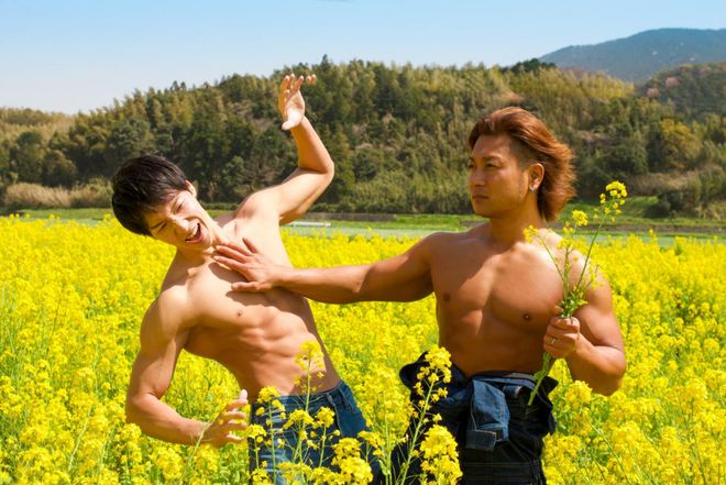 傻瓜天堂 产品图片