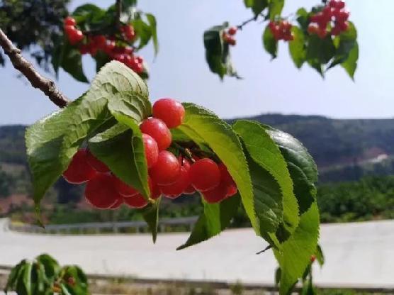 侏罗纪公园2：失落的世界（国语版） 推荐产品