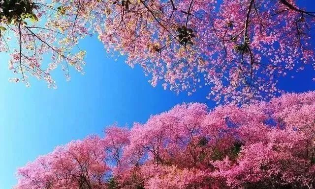 复仇者联盟（国语版） 相关产品