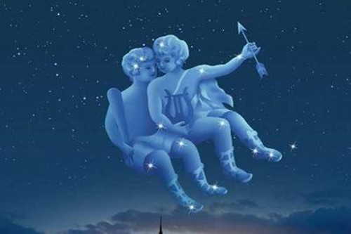 冰川鲨鱼 相关产品