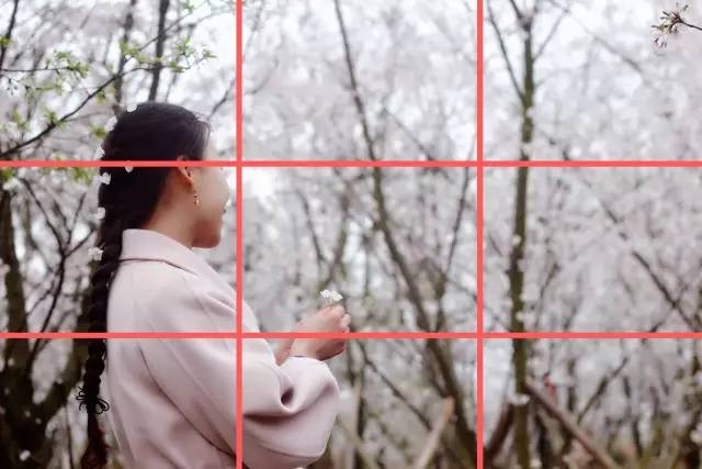 伊伦嘉：诱惑的艺术 相关产品