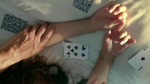 假如猫从世界上消失了 相关产品