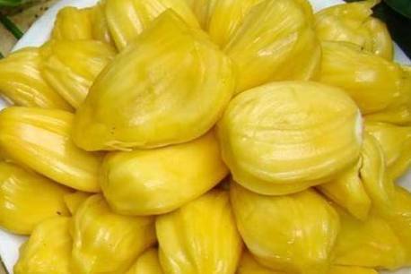 冒牌上帝 产品图片