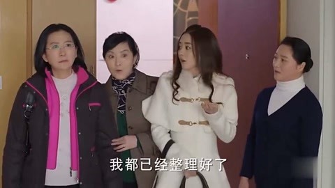 保姆日记 产品图片