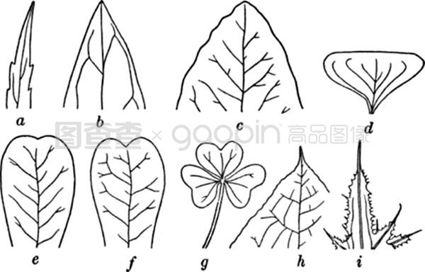 伪装大师2：完美骗局 相关产品