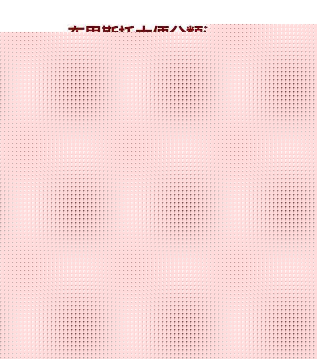 冬荫功 产品图片