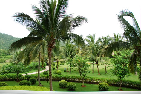 伦文叙老点柳先开 产品图片