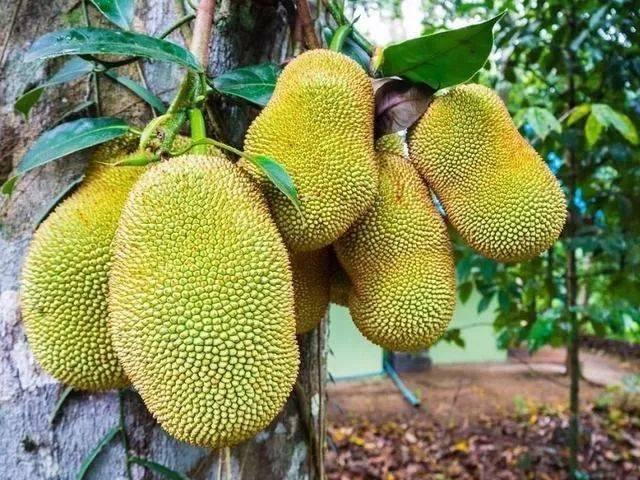 你好，陌生人 相关产品