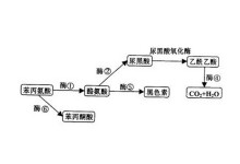 僧侣和枪 相关产品