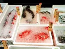 倒霉蛋淘金记 相关产品