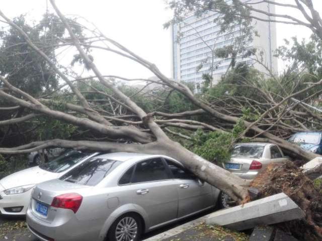 仲夏六日 相关产品