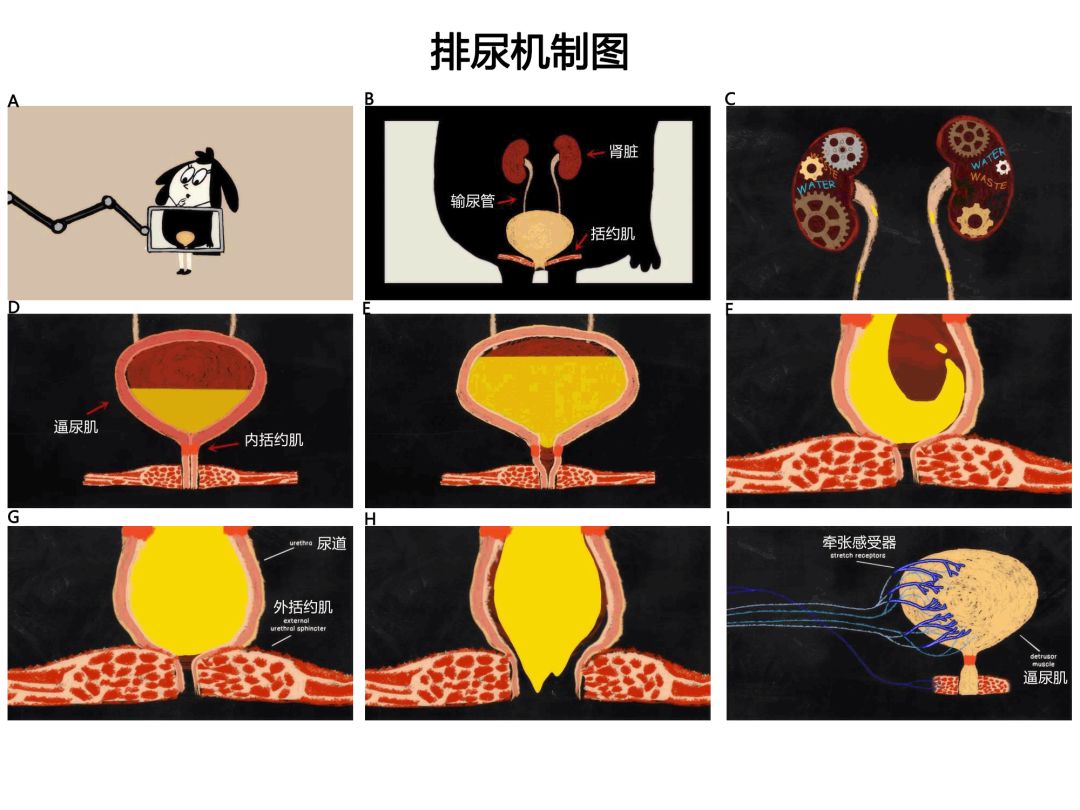 冷眼杀机 相关产品