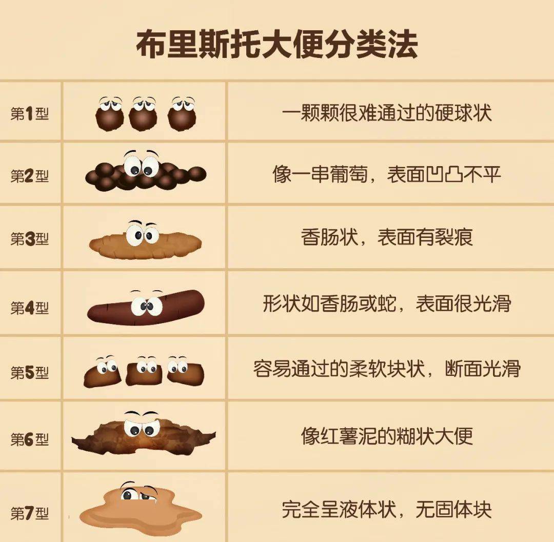 僵尸山雀 产品图片