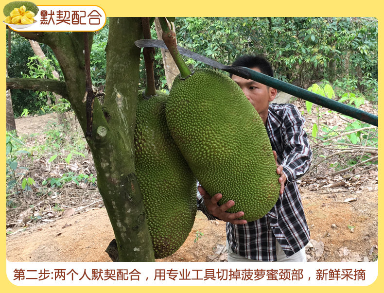 便利店 产品图片